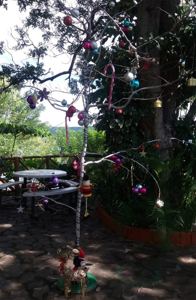 Weihnachtsbaum